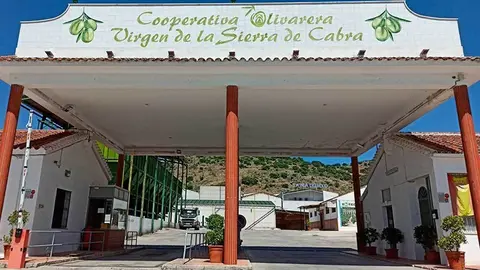 Cooperativa Olivarera Virgen de la Sierra de Cabra