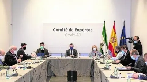 <p> andalucia-comite-expertos-medidas-restricciones-kpOD-U150670367124rSH-624x385@Ideal </p>