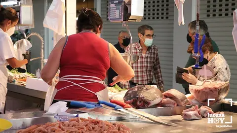 <p> mercado de abastos </p>
