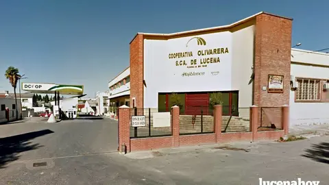 <p> COOPERATIVA OLIVARERA DE LUCENA </p>