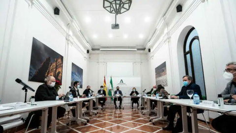 <p> comite de expertos andalucia </p>