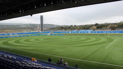 <p> C&eacute;sped estadio </p>
