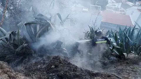 Incendio Do&ntilde;a Menc&iacute;a