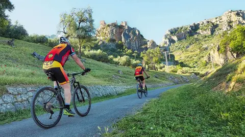 V&iacute;a Verde
