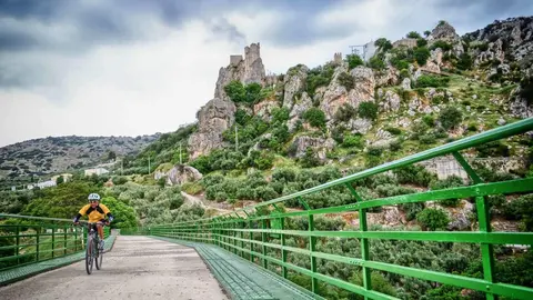 V&iacute;a Verde