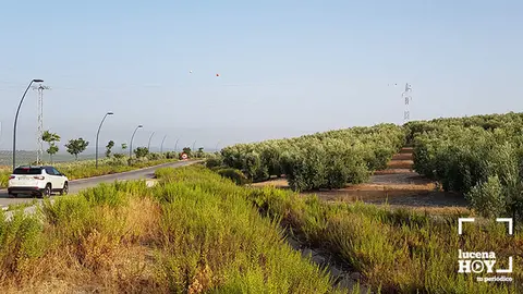 <p> terrenos donde se ubicará el futuro hospital </p>