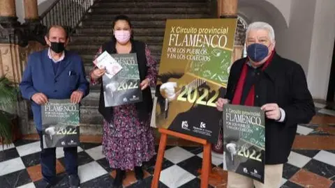 Diputaci&oacute;n flamenco