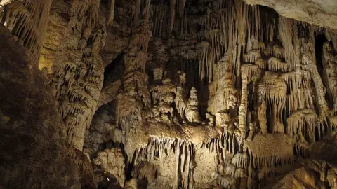 Interior de la Cueva de los Murci&eacute;lagos de Zuheros