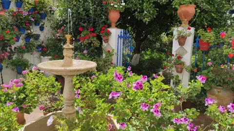 Uno de los patios participantes en esta edici&oacute;n