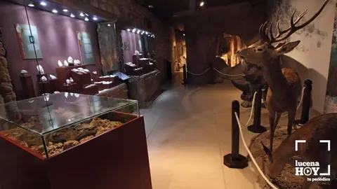 <p> museo arqueológico </p>