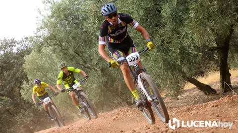 <p> MTB LUCENA </p>