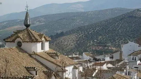 Priego nidos