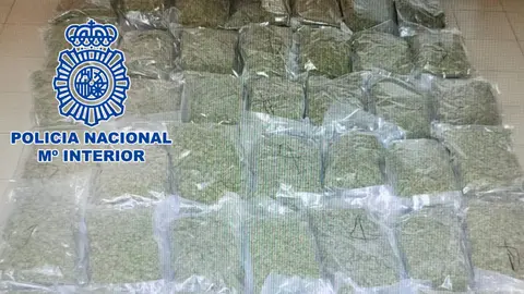 <p> marihuana lucena </p>