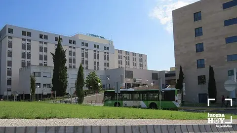 <p> Hospital Reina Sofía </p>