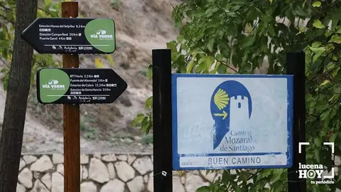 <p> camino mozarabe v&iacute;a verde lH </p>