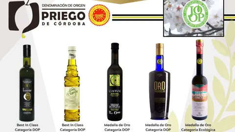 DOP PRIEGO