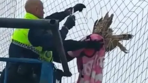 Rute rescate b&uacute;ho