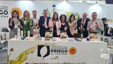 salón gourmet