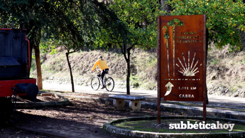 Camino Mozárabe