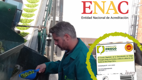 DOP Priego de C&oacute;rdoba
