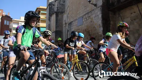 movilidad bicicleta lucena