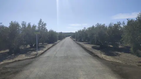 Mejora camino llamo del madero cabra
