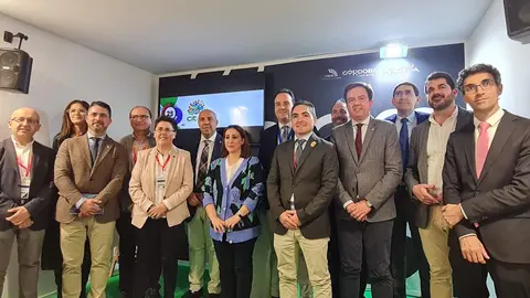Presentaci&oacute;n del Plan de Acci&oacute;n del CIT de la Subb&eacute;tica en Fitur