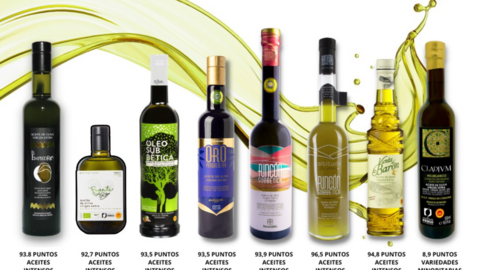 Aceites reconocidos en la Gu&iacute;a Iber Oleum