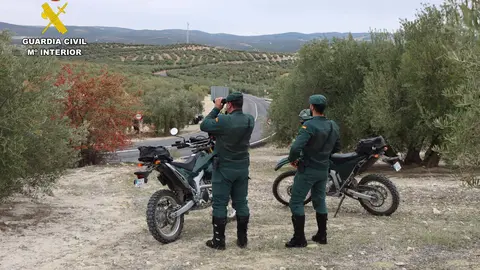 Una unidad del Seprona en el campo
