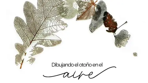 Cartel Dibujando el Otoño en el aire