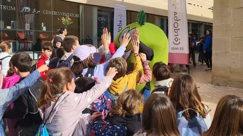 DOP Priego en el Día Mundial del Olivo