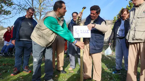 Plantación 'Bosque de las mil ramas'-3