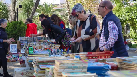 Mercado de antigüedades Lucena-5