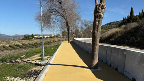 Primera fase del sendero de La Molina, en Rute