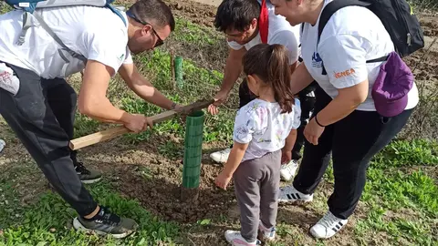 Voluntarios en tareas de reforestaci&oacute;n