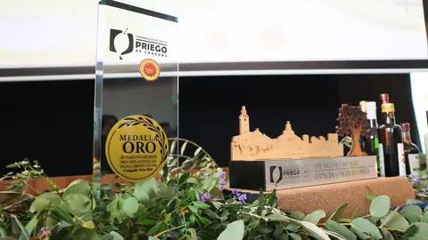28&ordf; Edición de los Premios a los Mejores Aceites de Oliva Virgen Extra de la DOP Priego de Córdoba-04