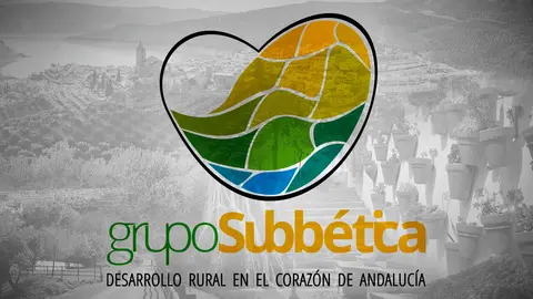 Nueva imagen del Grupo Subb&eacute;tica
