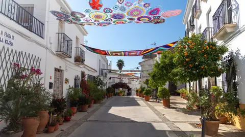 ESPARRAGAL (2)