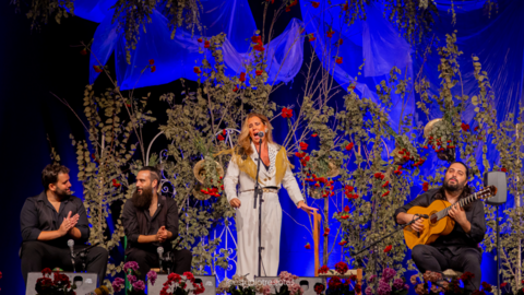 Una de las actuaciones del festival flamenco de Do&ntilde;a Menc&iacute;a