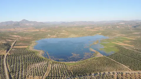 Laguna del Salobral