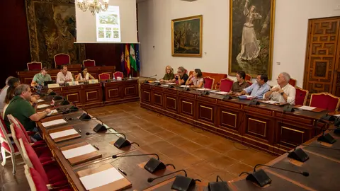 Jornadas de sensibilización de Oleoturismo en Diputaci&oacute;n