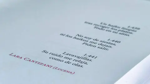 Poesía de Manuel Lara Cantizani