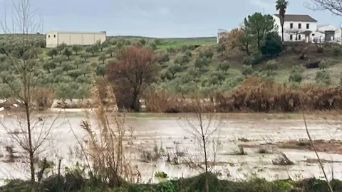 Desbordamiento del Río Cabra a su paso por Huertas Bajas.