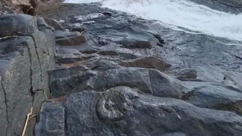 undefined