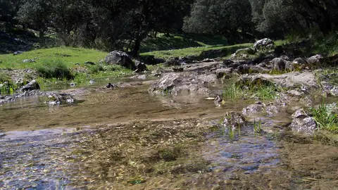 Sendero del R&iacute;o Bail&oacute;n.