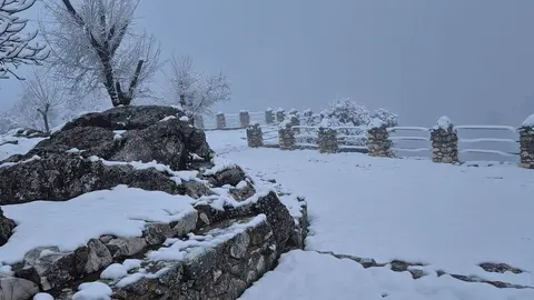 Inmediaciones del Picacho de la Sierra de Cabra esta ma&ntilde;ana, Foto: Manoli Moreno Castro.