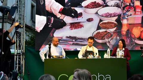 III Festival Córdoba Virgen Extra4