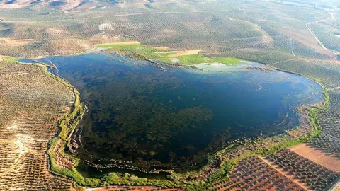 Laguna del Salobral en Luque