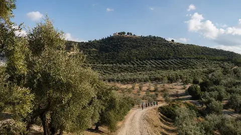 Sierra de Aras
