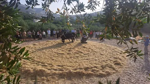 Una imagen de la actividad durante la pasada edici&oacute;n.